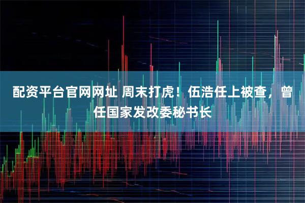 配资平台官网网址 周末打虎！伍浩任上被查，曾任国家发改委秘书长